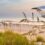Rediscover Summer on Amelia Island