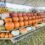Top 10 Fall Festivals in Florida 2025: Your Complete Guide to Autumn Fun